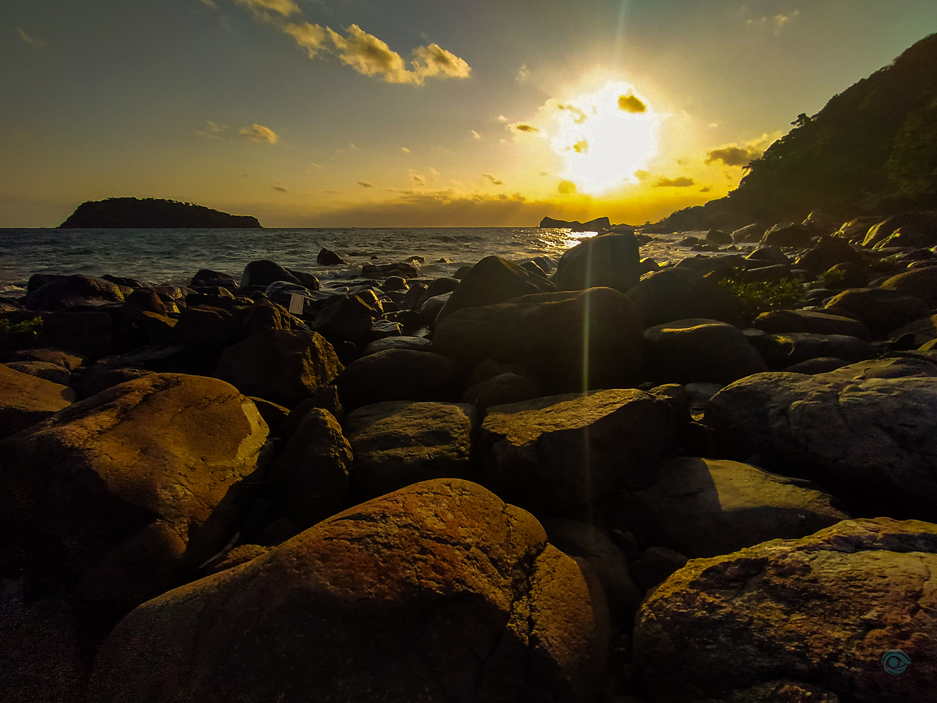 Floresta - Fotografia de natureza Oitava Visual