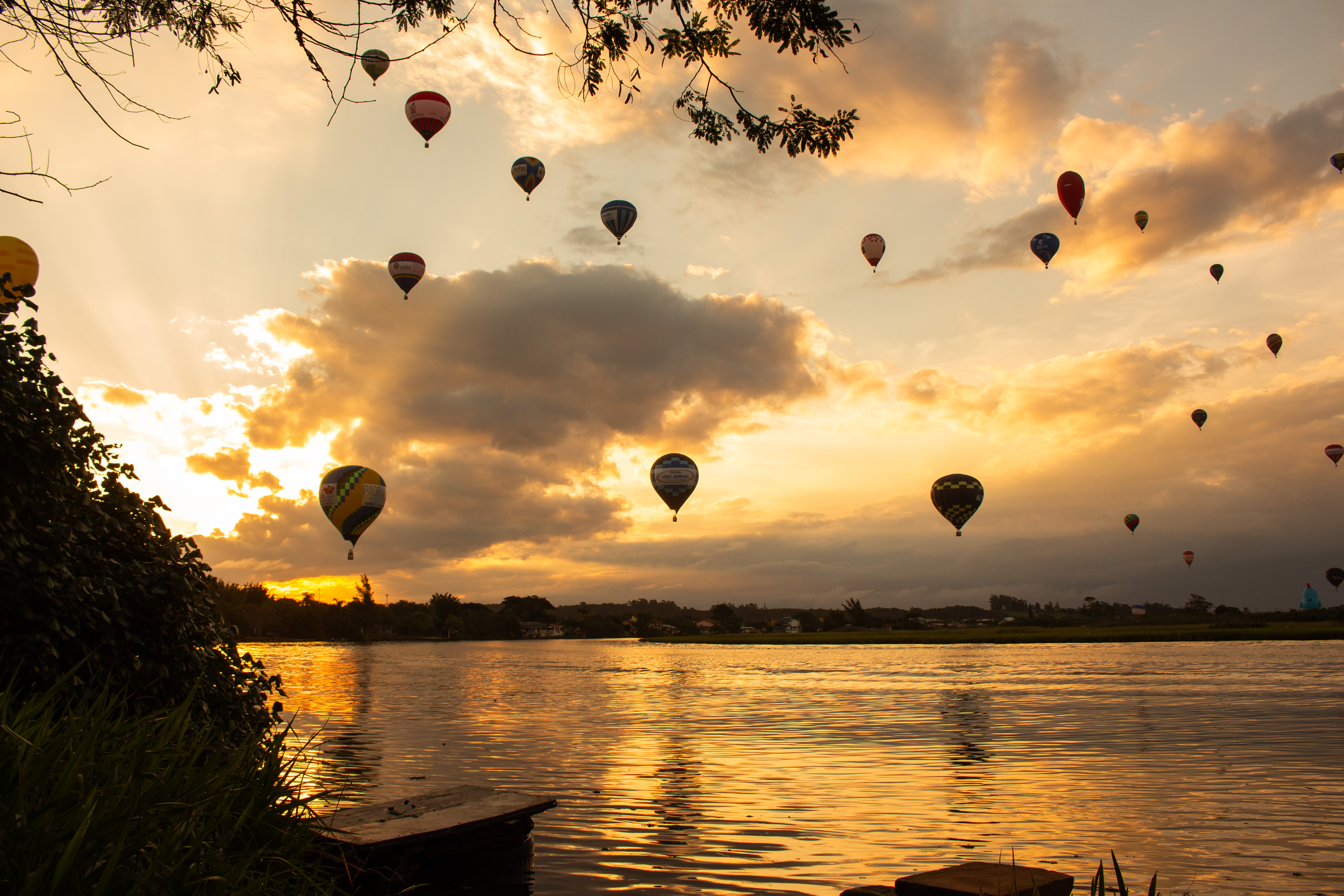 Floresta - Fotografia de natureza Oitava Visual