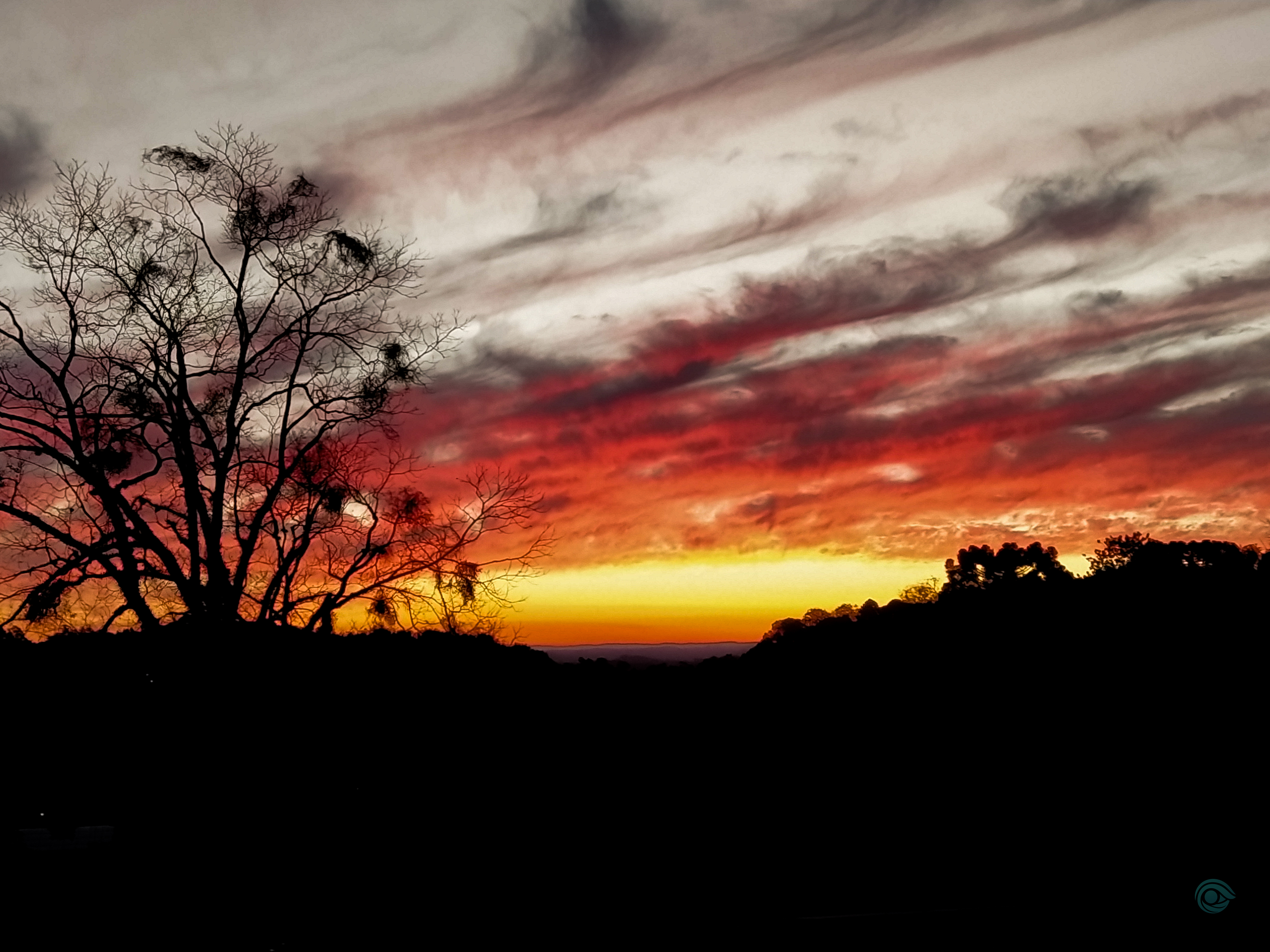 Floresta - Fotografia de natureza Oitava Visual